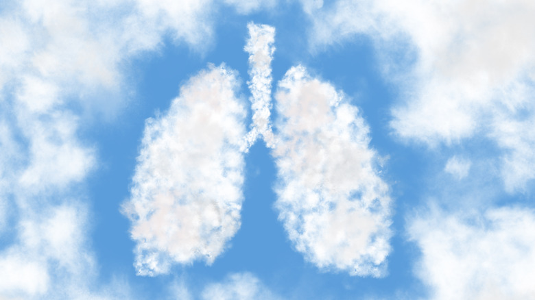 clouds in the shape of lungs