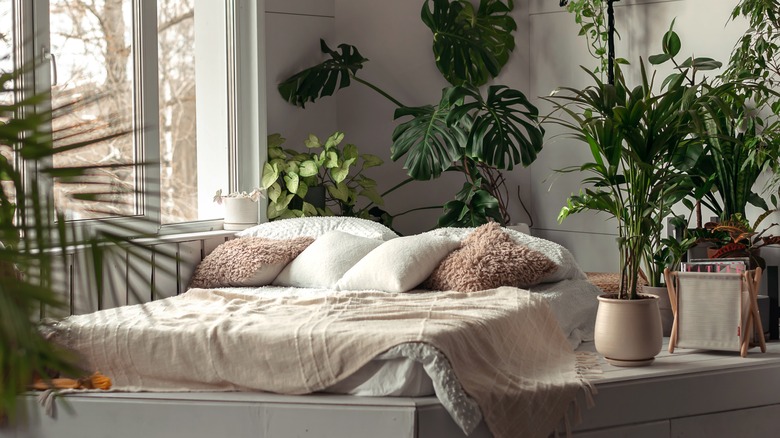 a cozy bedroom
