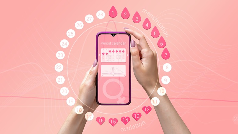 app showing menstrual cycle