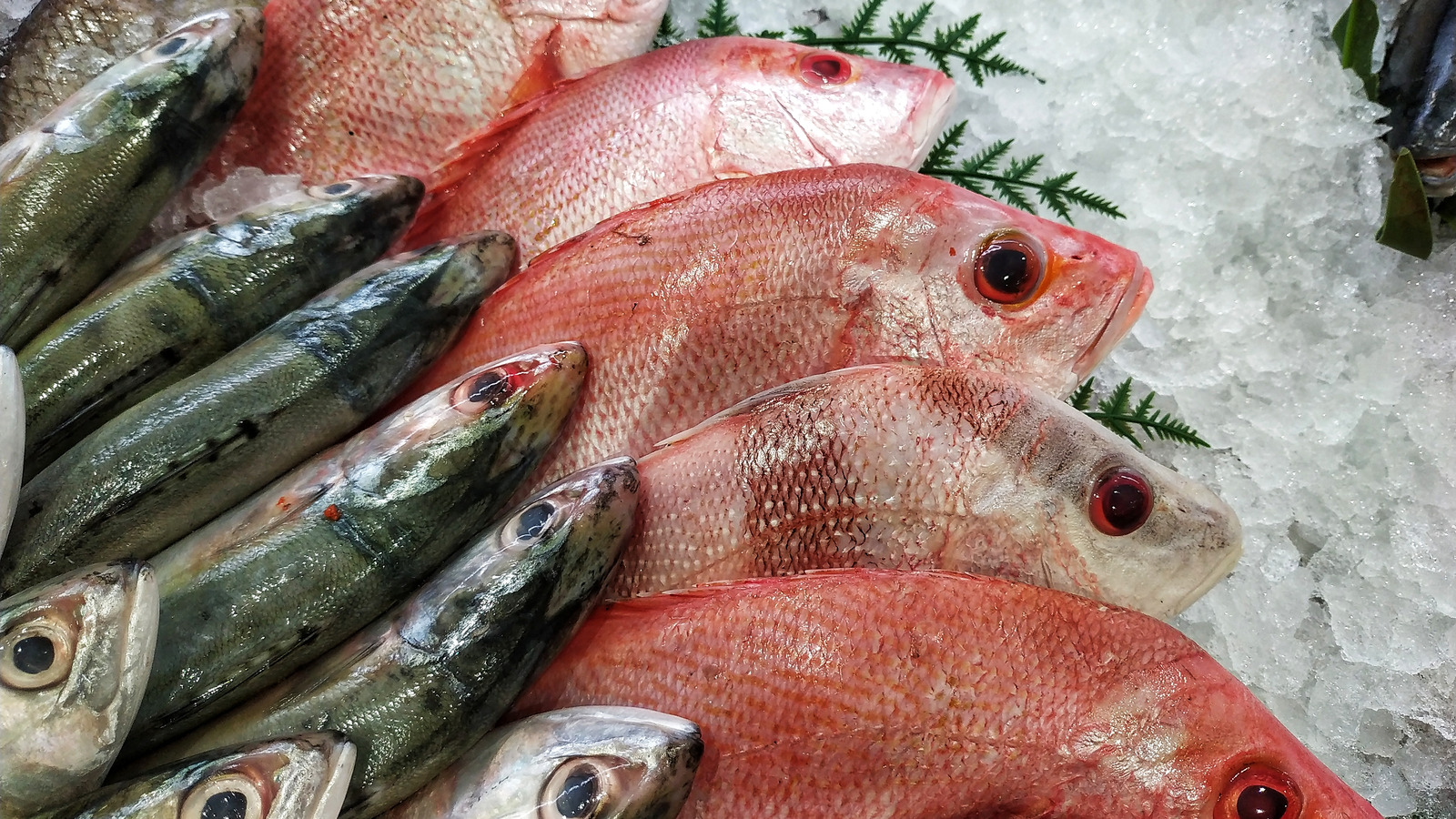 what-is-the-least-healthy-type-of-fish