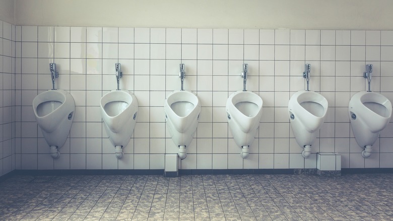 A row of urinals