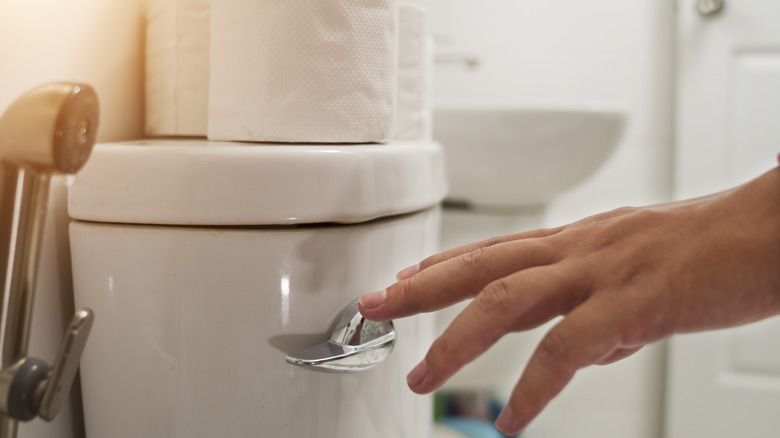 Hand reaching to flush the toilet