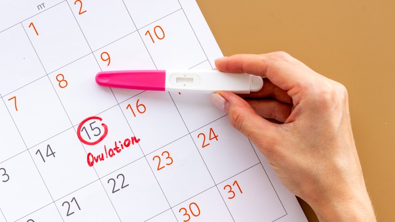 Calendar and pregnancy test
