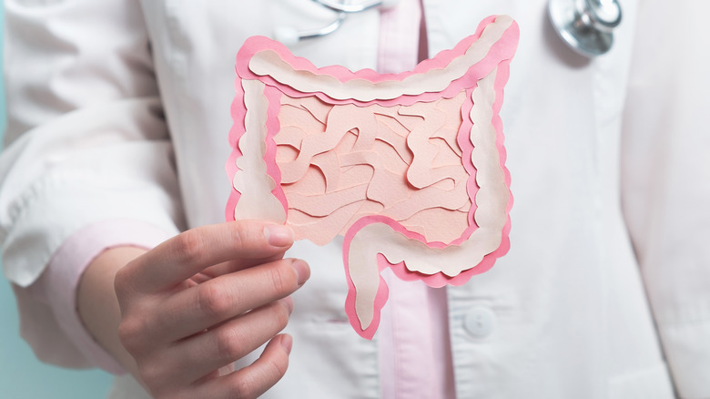 doctor holding intestine concept image