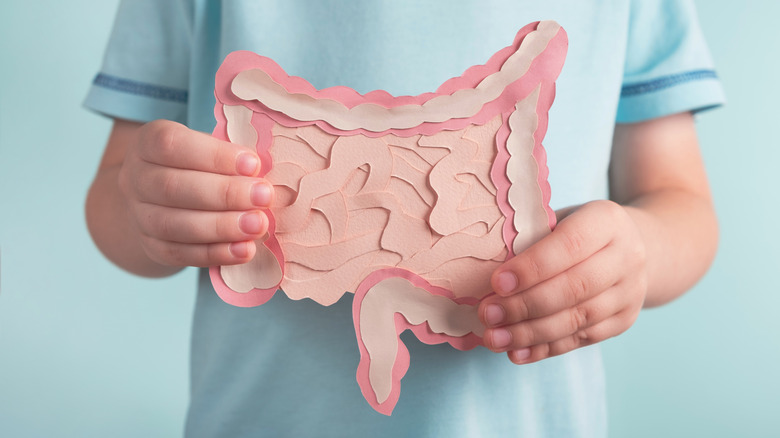 doctor holding intestine cut out