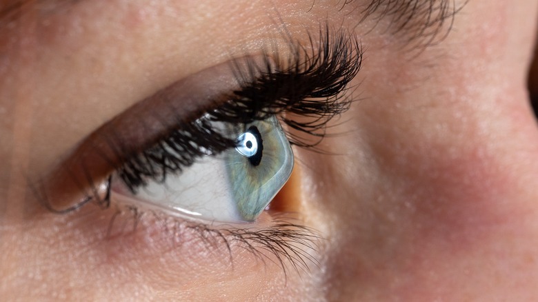 Close up profile view of an eye