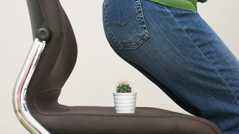 Person sitting on cactus