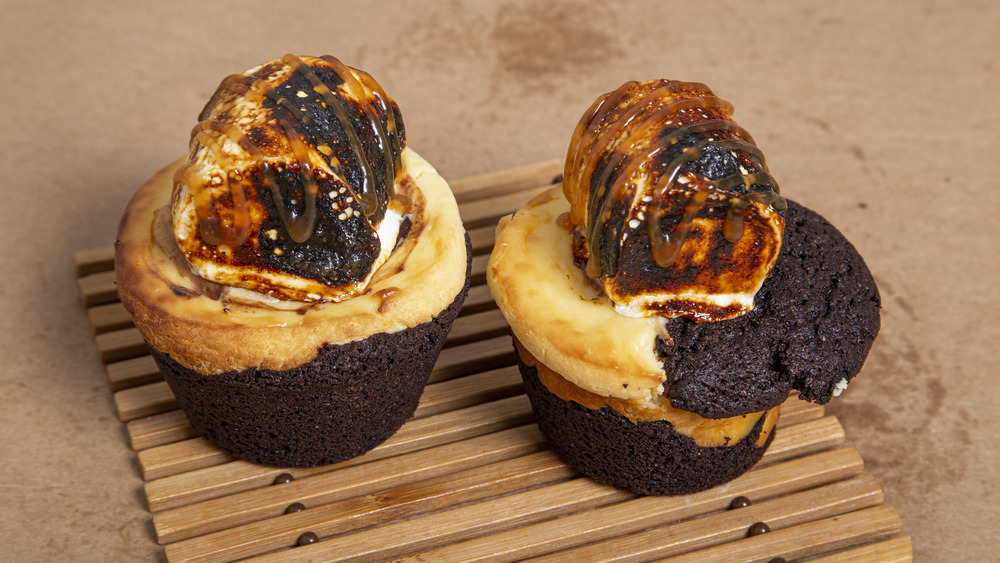 Two cupcakes with burned marshmallows on top
