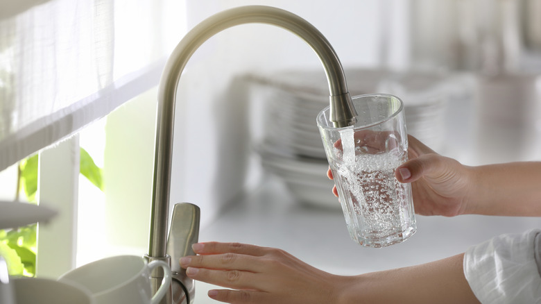 Someone gets a glass of water from the sink