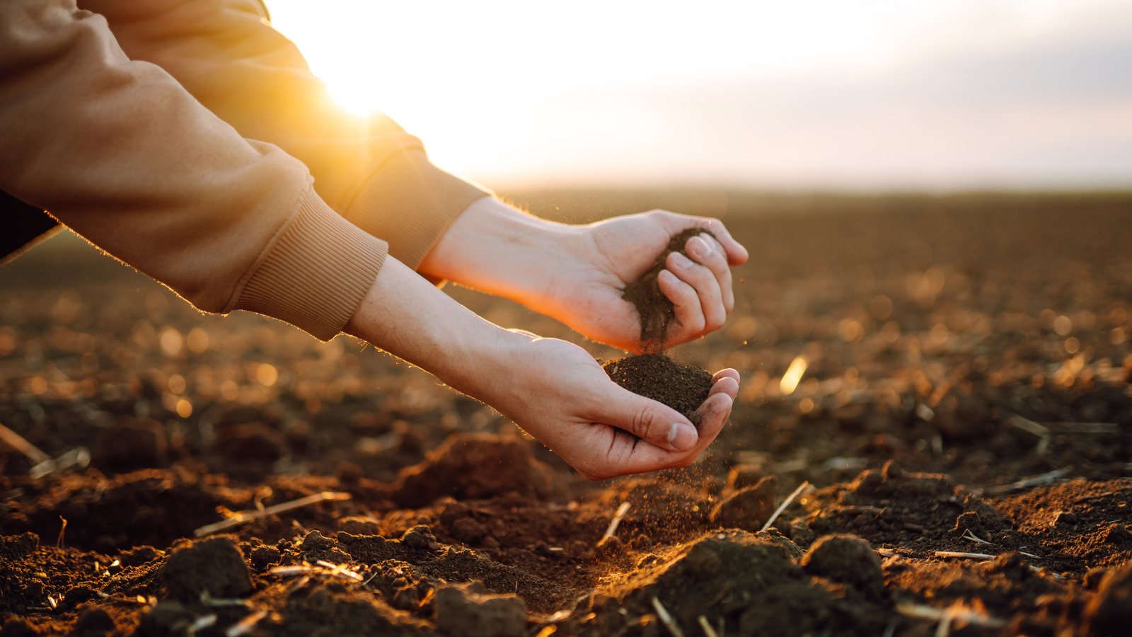 what-it-really-means-when-you-want-to-eat-dirt