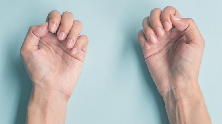 Two hands palm-side up with bent down fingers on blue background