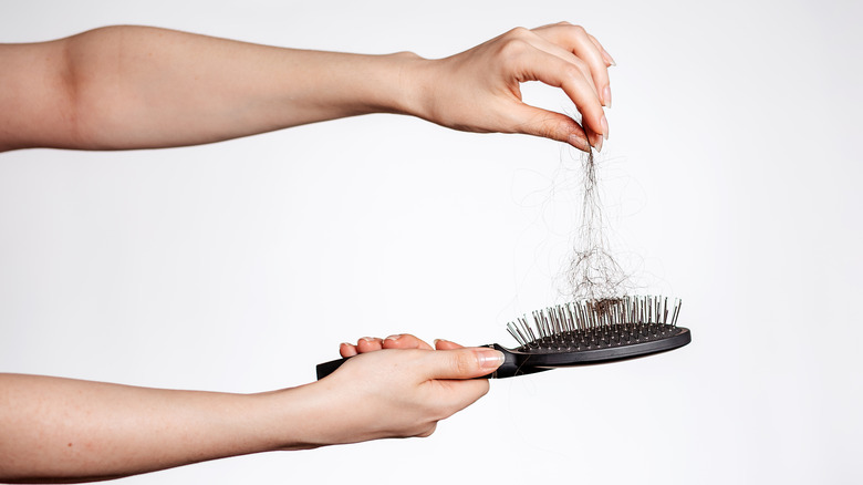 Hair falling out on a brush 