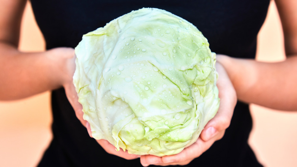 Woman holding cabbage head