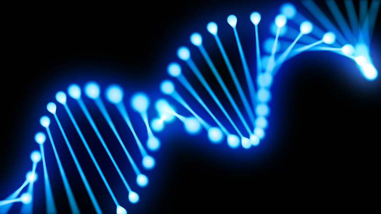 DNA in blue