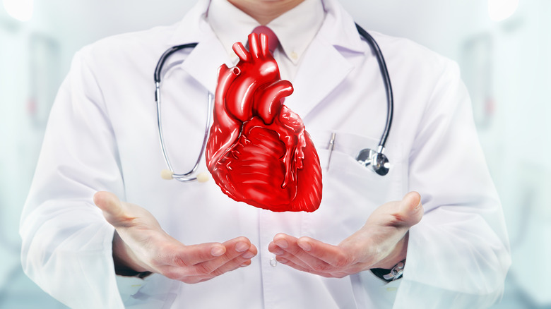 human heart in doctor's hands