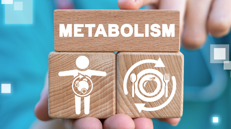 metabolism concept wooden blocks