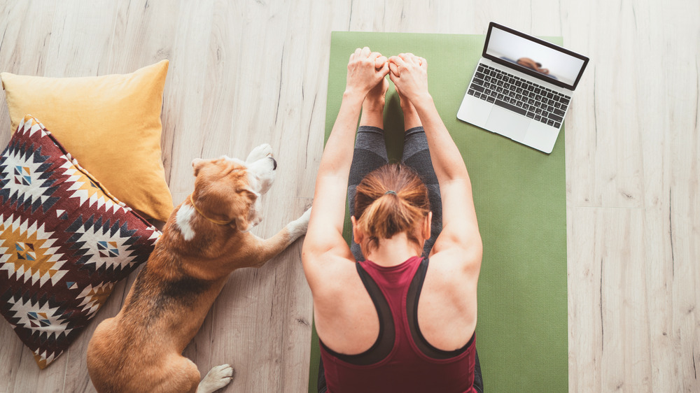 Woman doing yoga alongside dog and laptop