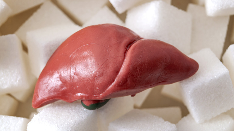 model of the liver with sugar cubes