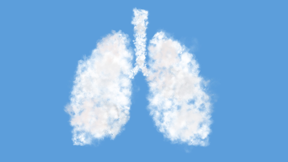 lungs in clouds
