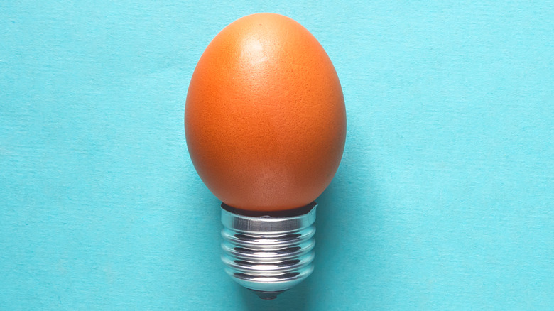 an egg in a light bulb socket