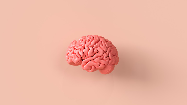 brain on pink background