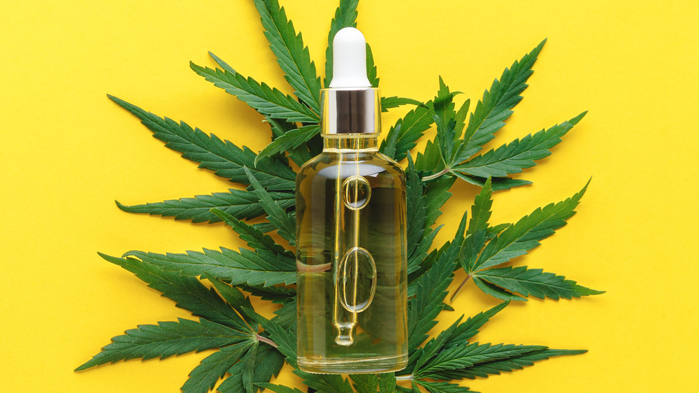 cannabis hemp oil with yellow background