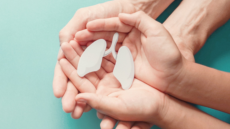 Adult and child hands holding white lungs made from paper