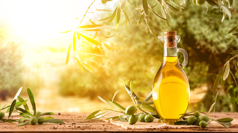 olive oil next to olive tree