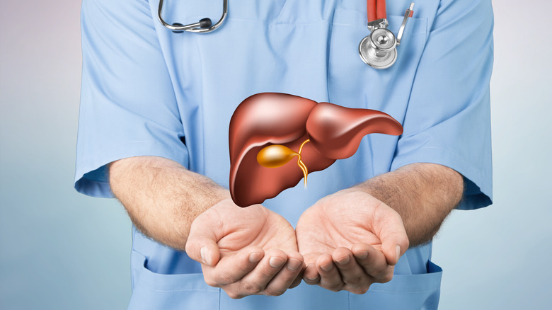 doctor holding liver graphic