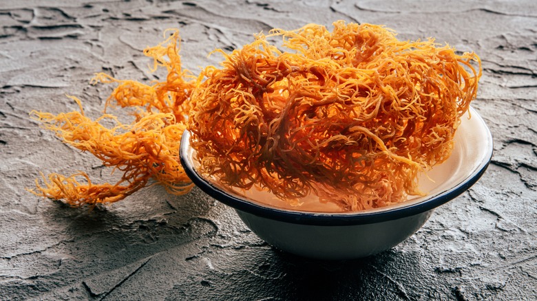 crispy Irish sea moss in a bowl