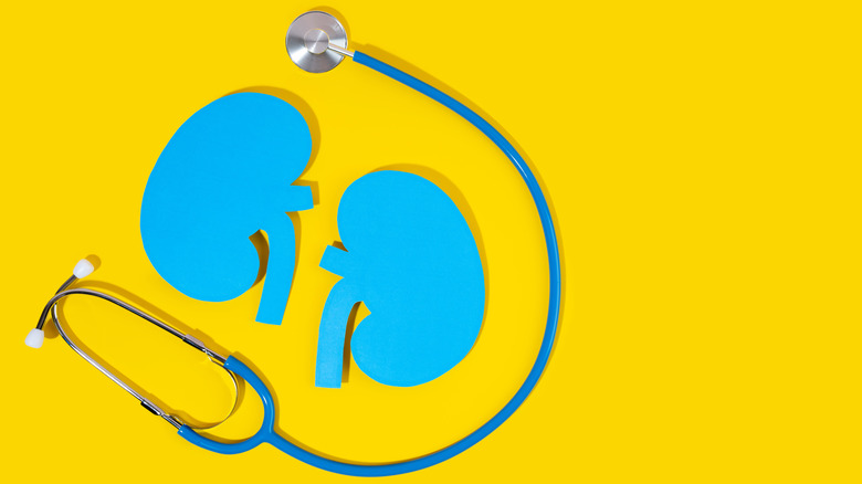 paper kidneys stethoscope on yellow background