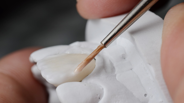 Bonding applied on clay model of teeth