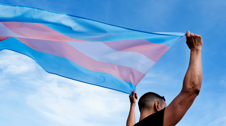 person holding trans flag