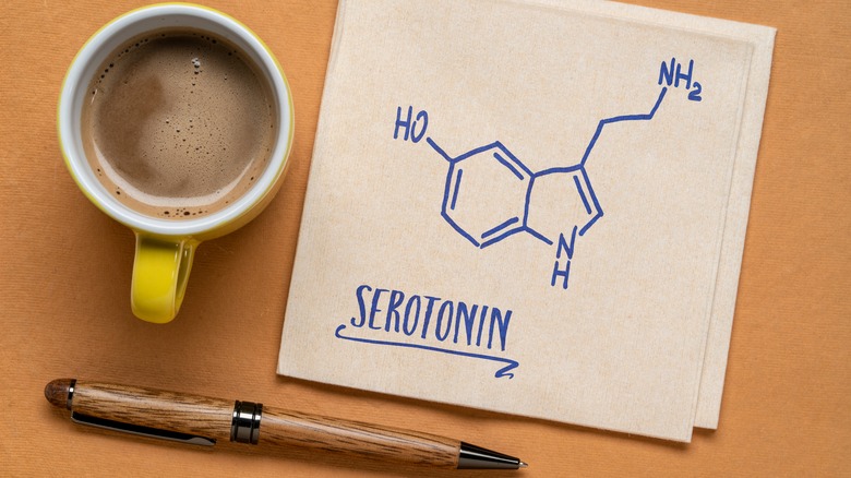 antidepressant serotonin neurotransmitter