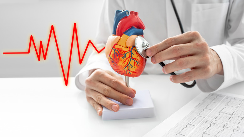 Doctor handling heart model