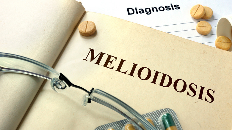 melioidosis on note paper