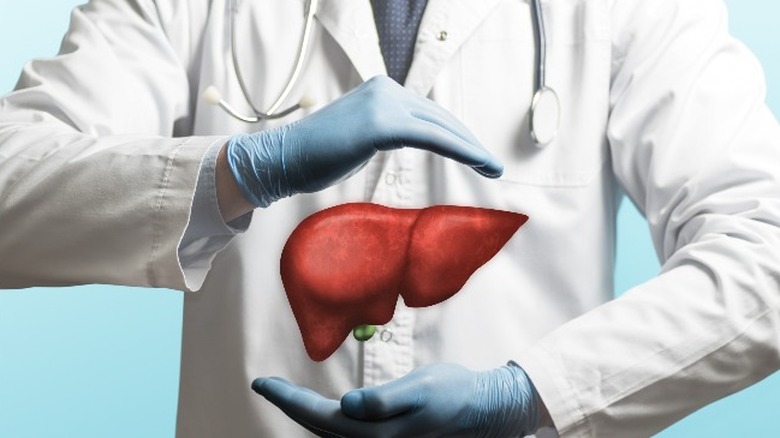 liver floating between doctor's gloved hands 