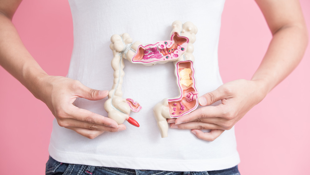 Woman with model of colorectal system