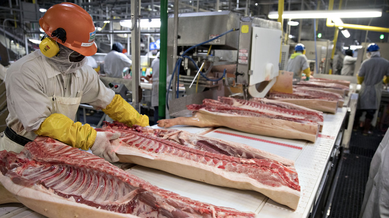 Smithfield employee handles sides of pork