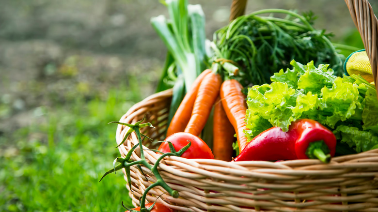 Fresh vegetables in basket