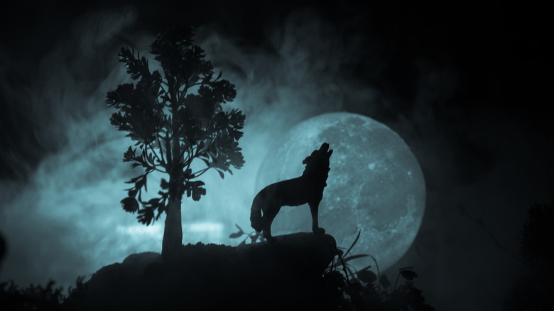 wolf moon howling