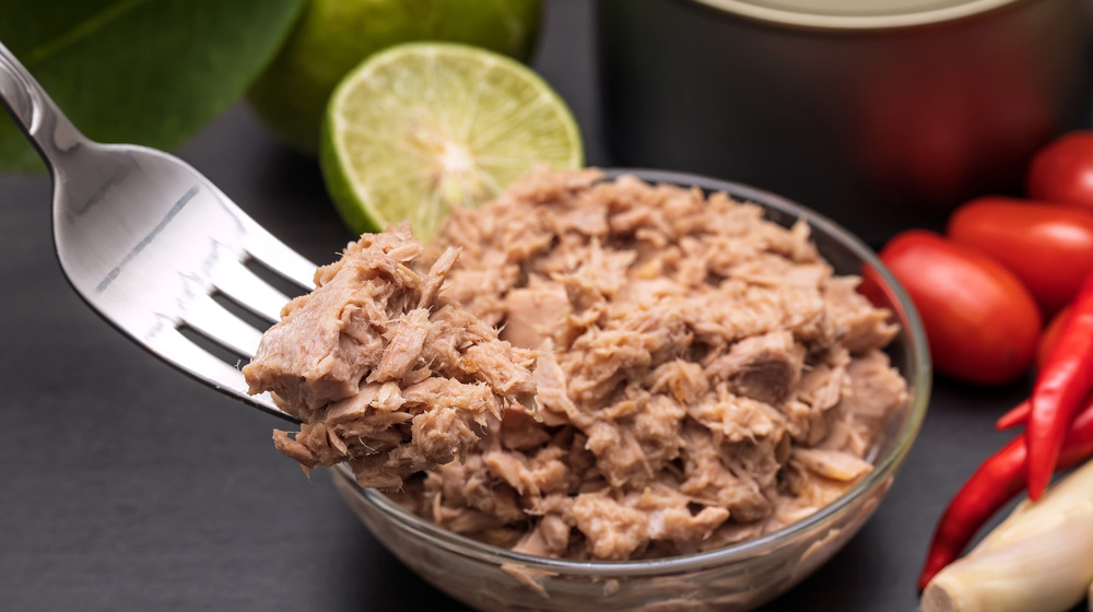 opened can of tuna with an all white background 