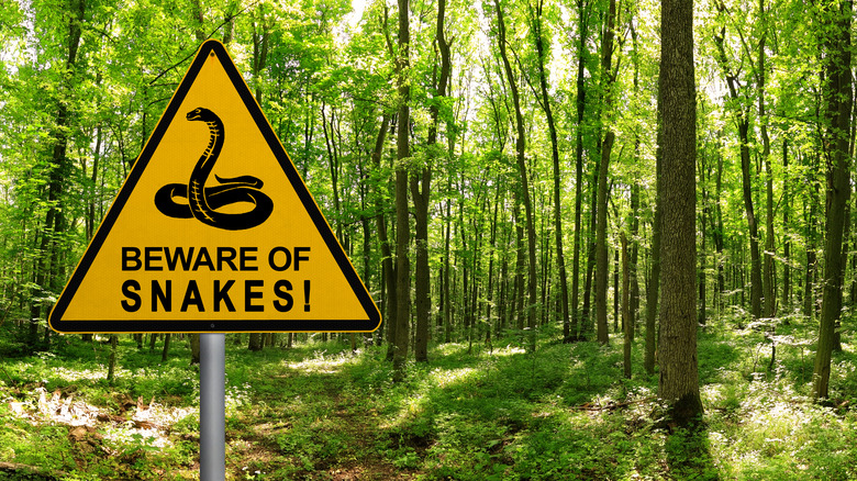 Beware of snakes signage 