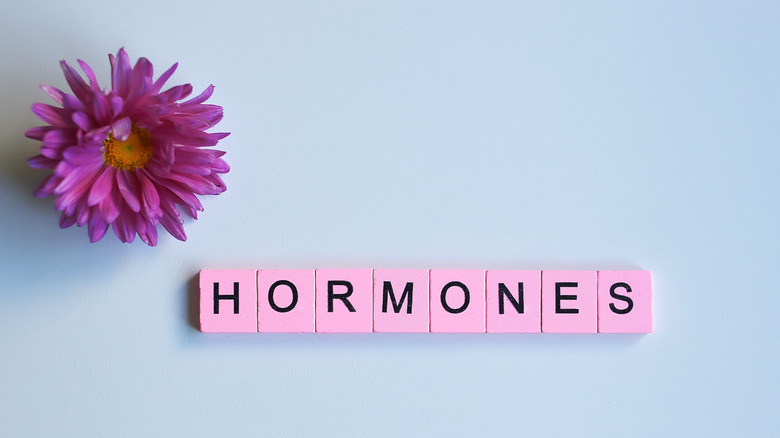the word hormones in pink tiles on a blue background with flower