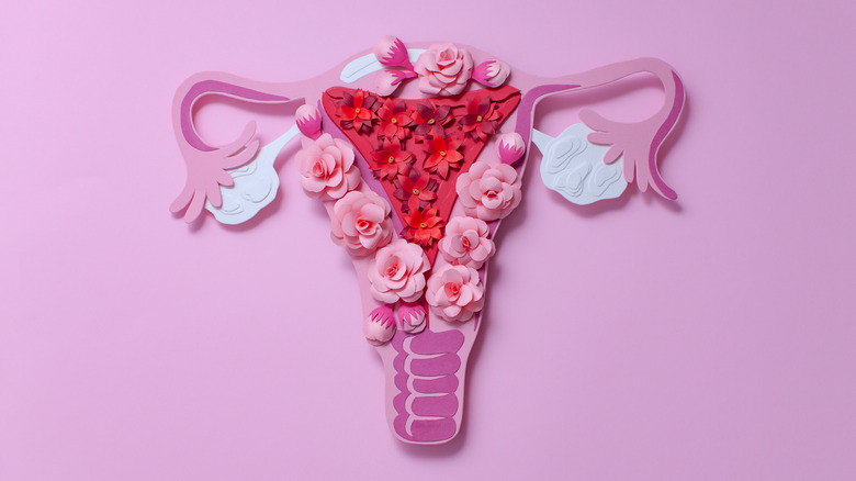 a cutout depiction of a uterus made with paper 