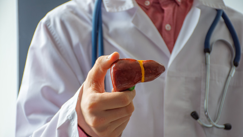 man holding plastic liver