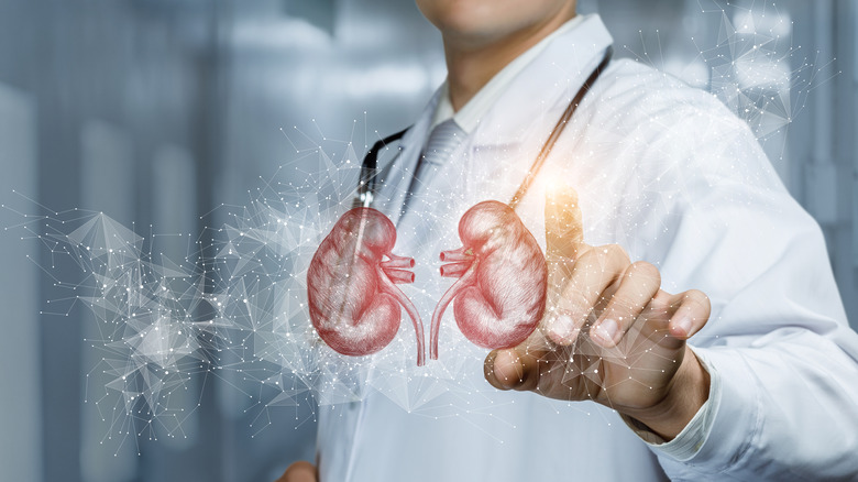 A doctor explains kidney disease