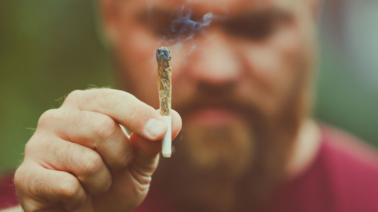 Man holding up marijuana joint