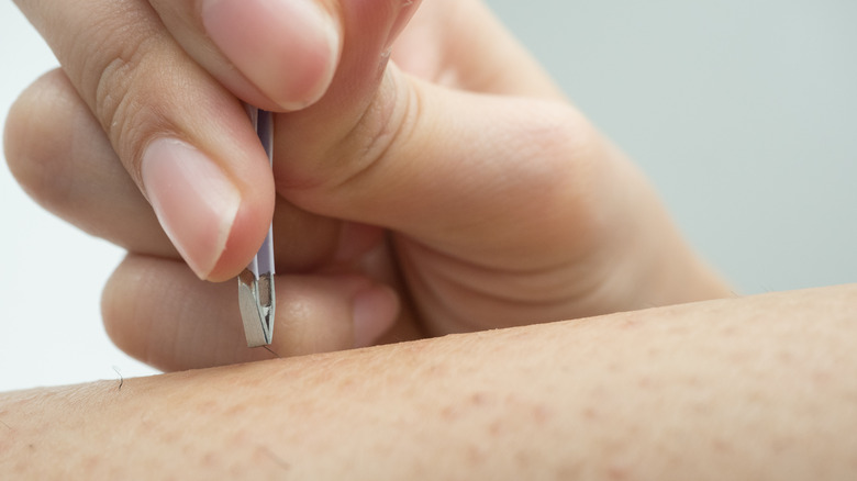 Hand plucking hair with tweezers