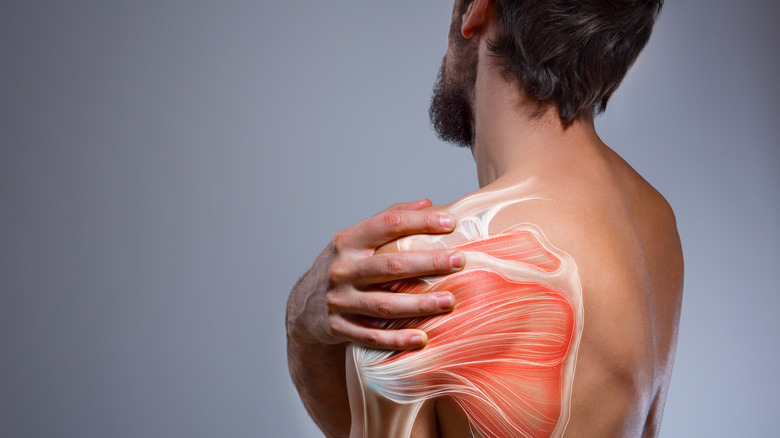 man holding his shoulder in pain with illustrated muscles